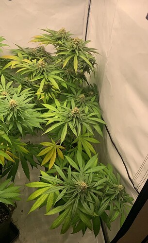 Growreport Bild 14
