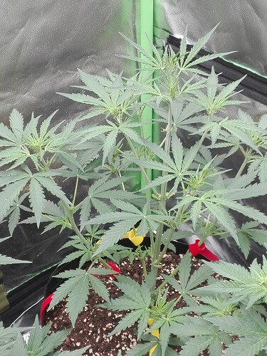 Growreport Bild 9