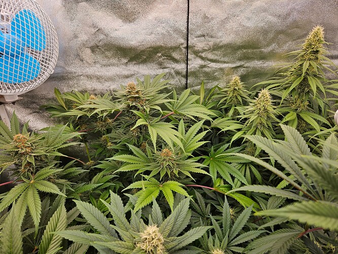 Growreport Bild 9