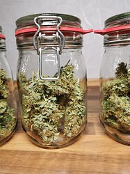 Growreport Bild 17
