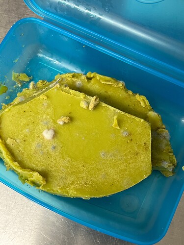 Growreport Bild 1
