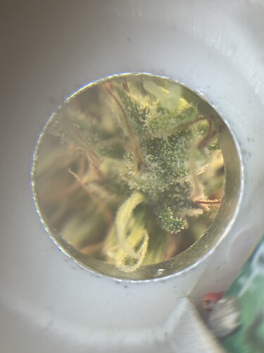 Growreport Bild 7