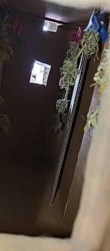 P_20230812_143105