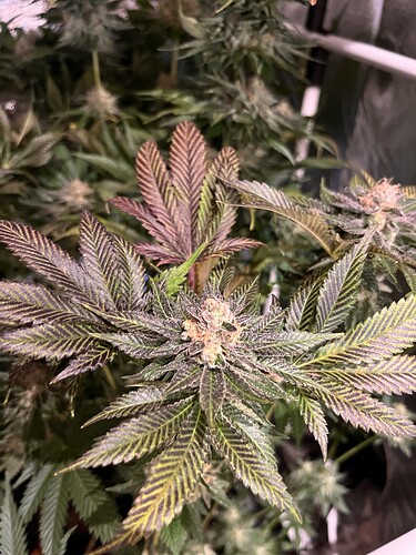 Growreport Bild 10