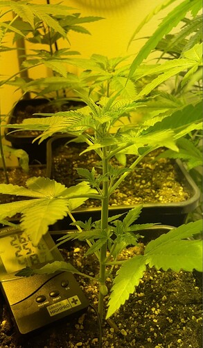 Growreport Bild 21
