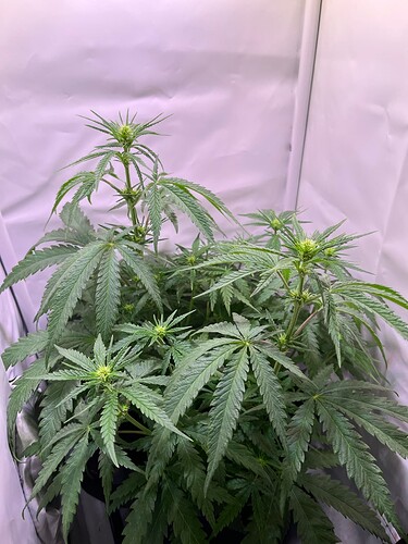 Growreport Bild 14