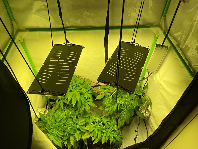 Growreport Bild 3