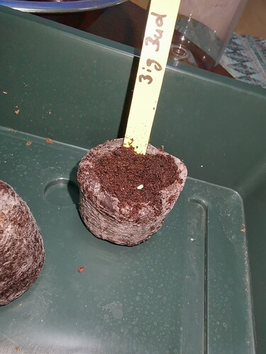 Growreport Bild 86