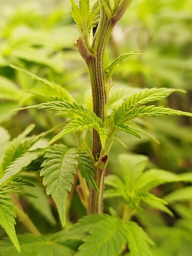 Growreport Bild 14