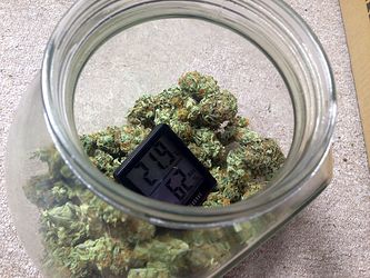 Growreport Bild 5
