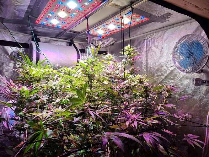 Growreport Bild 12