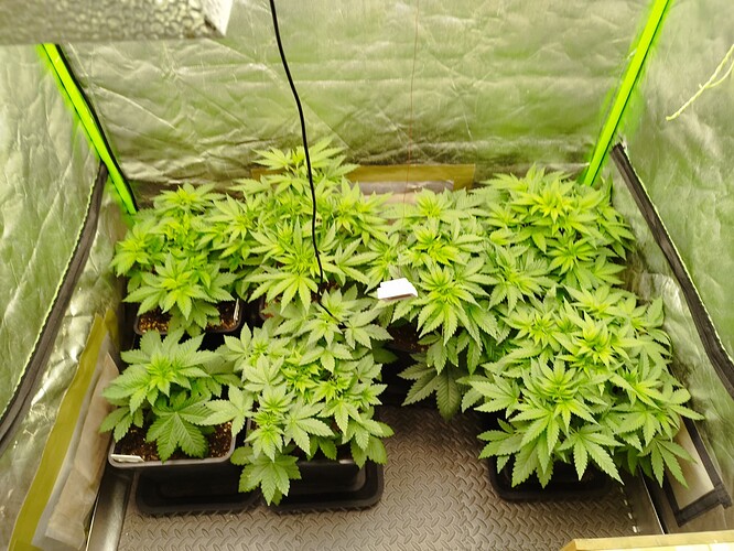 Growreport Bild 14