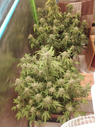 Growreport Bild 14