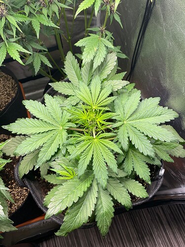 Growreport Bild 12