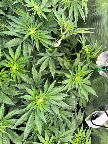 Growreport Bild 23