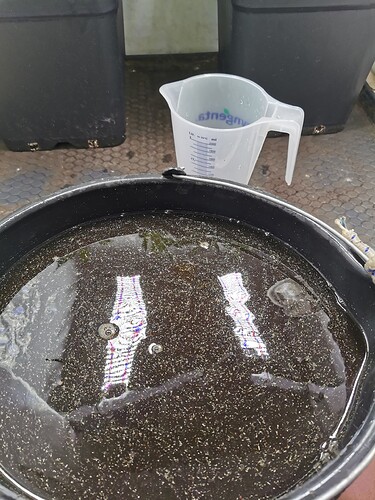Growreport Bild 2