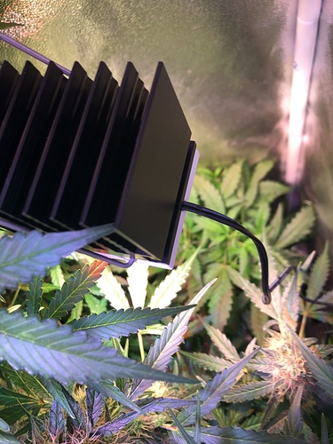 Growreport Bild 23