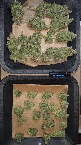 Growreport Bild 4