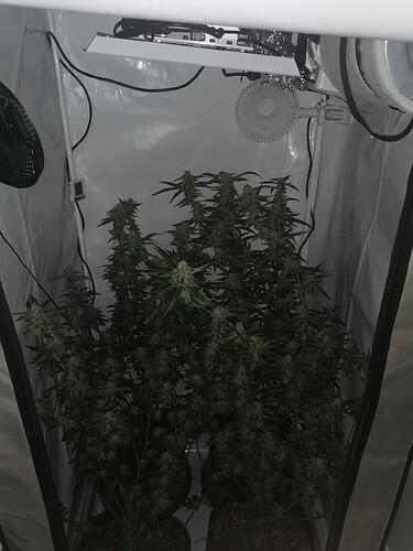 Growreport Bild 8
