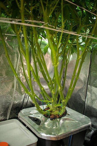 Growreport Bild 11