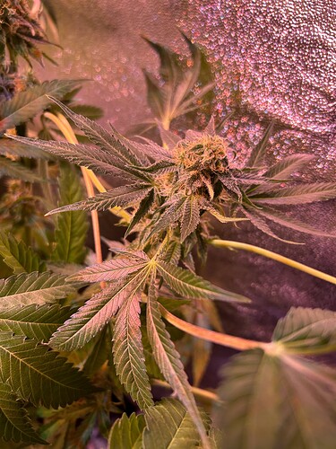 Growreport Bild 10