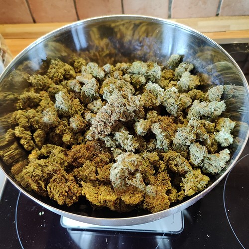 Growreport Bild 61