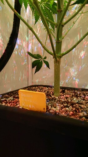 Growreport Bild 4