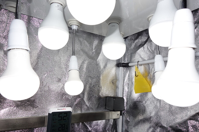 Mehrere weiße LED-Lampen hängen von der Decke einer Growbox, die mit reflektierendem Material ausgekleidet ist. Ein Thermometer zeigt 28 Grad Celsius an.