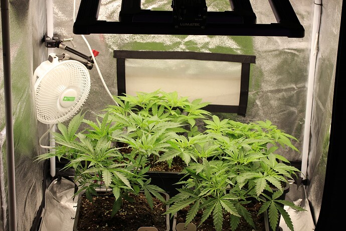 Growreport Bild 2