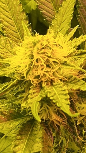 Growreport Bild 11