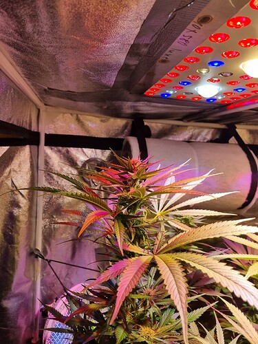 Growreport Bild 28