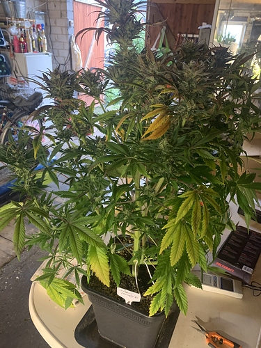 Growreport Bild 10