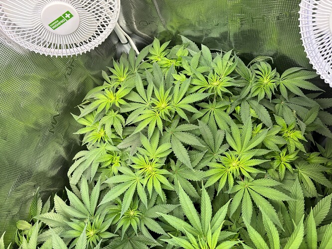 Growreport Bild 15