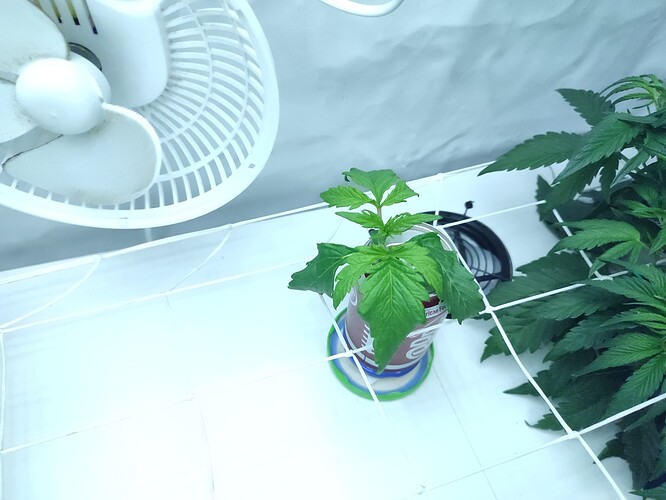 Growreport Bild 7
