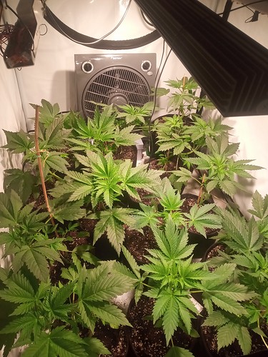 Growreport Bild 21