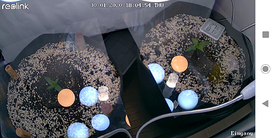 Growreport Bild 15