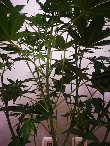 Growreport Bild 12