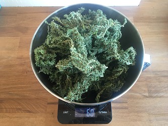 Growreport Bild 20