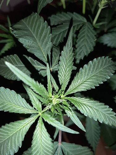 Growreport Bild 9