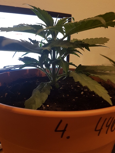 Growreport Bild 9
