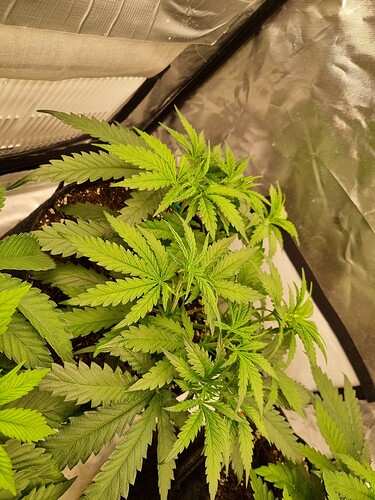 Growreport Bild 13