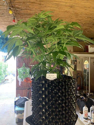 Growreport Bild 3