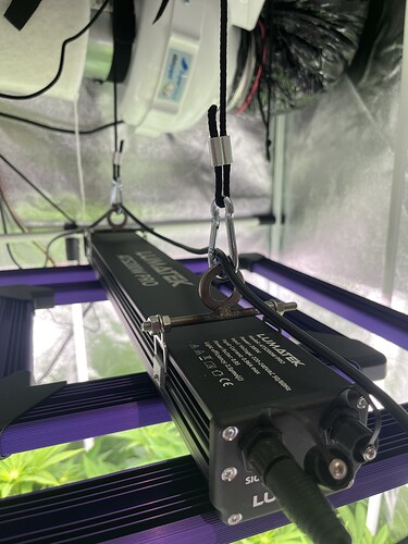 Growreport Bild 15