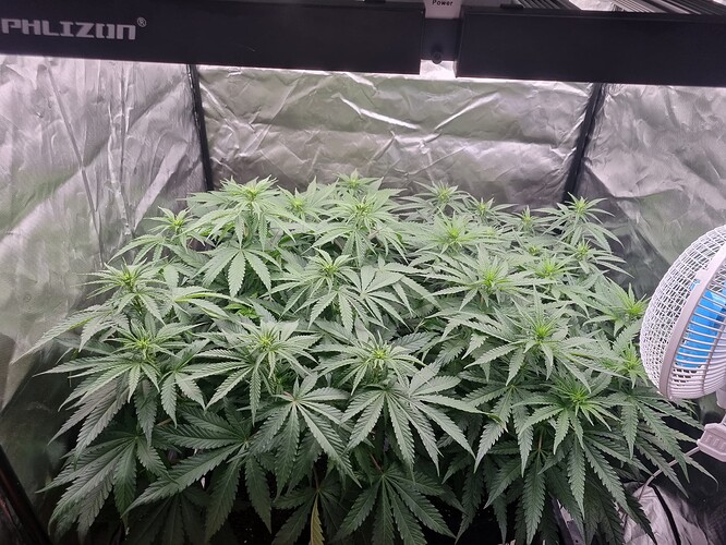 Growreport Bild 2