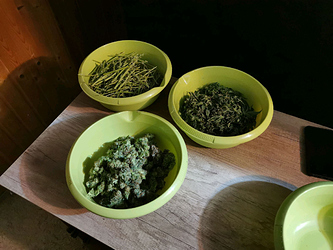 Growreport Bild 10