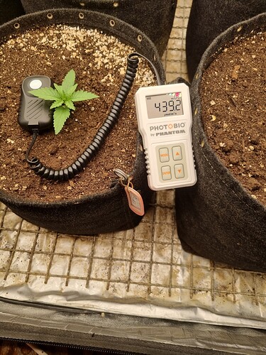 Growreport Bild 16