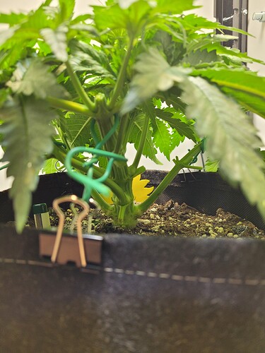 Growreport Bild 11