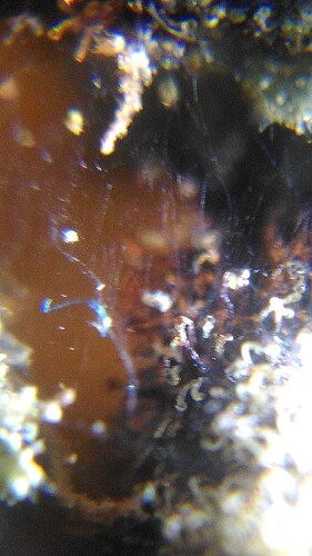 IMG_20230904_213701