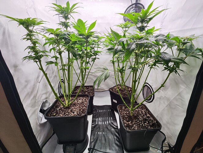 Growreport Bild 5