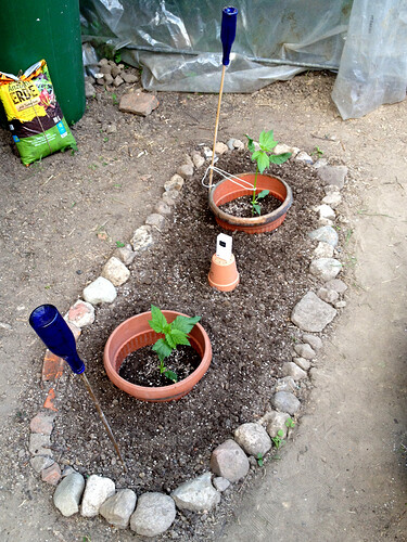 Growreport Bild 29